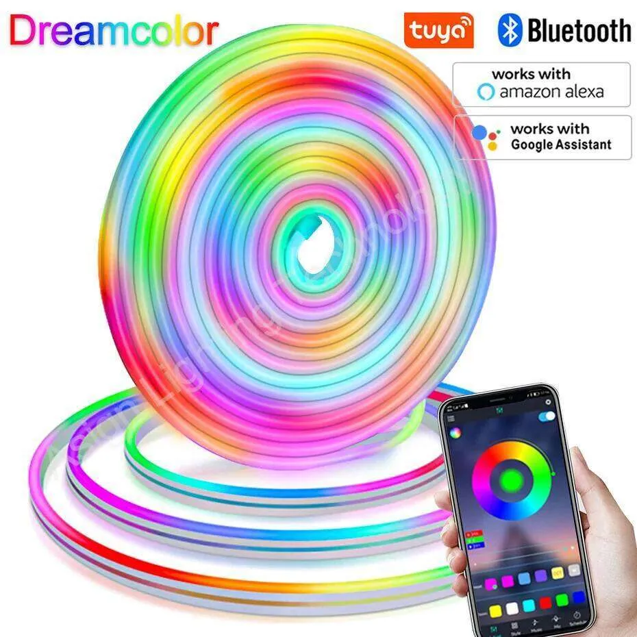 Dreamcolor LED 12V RGBIC Neon Rope Light Waterproof Round 2-wire Strip ...
