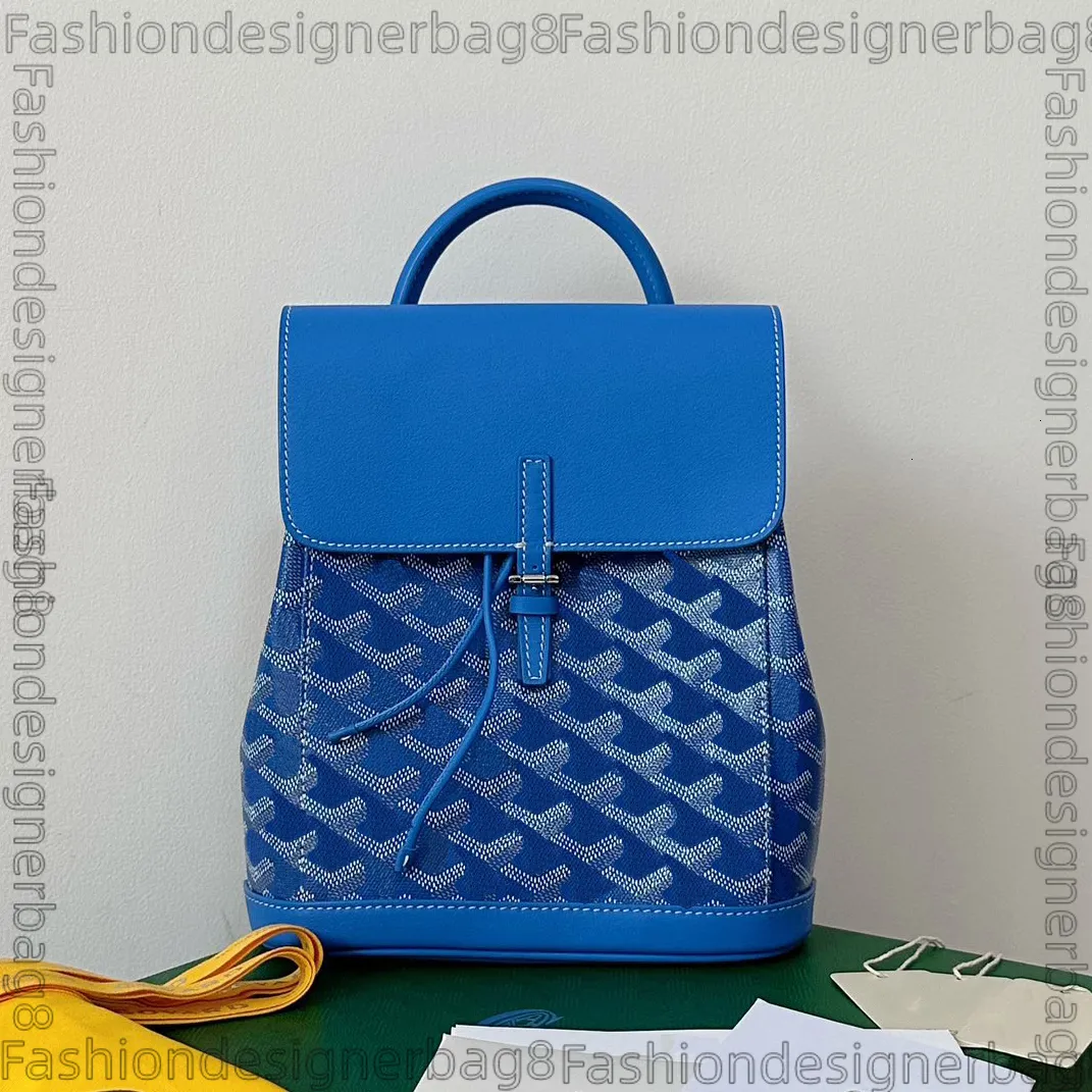 alpin mini backpack Goyard GOYARD Alpin Mini Backpack Bag