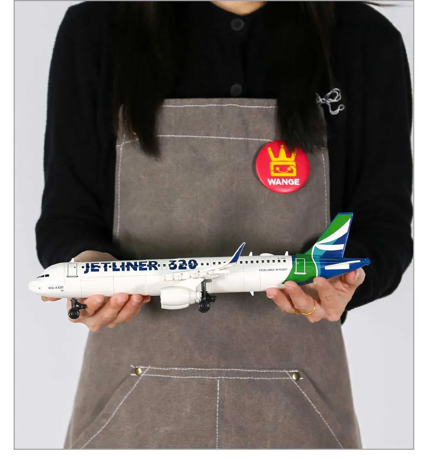 Molecule Display Example Jetliner 320 Airplane Building Blocks Model... From Ua_sacramento ...