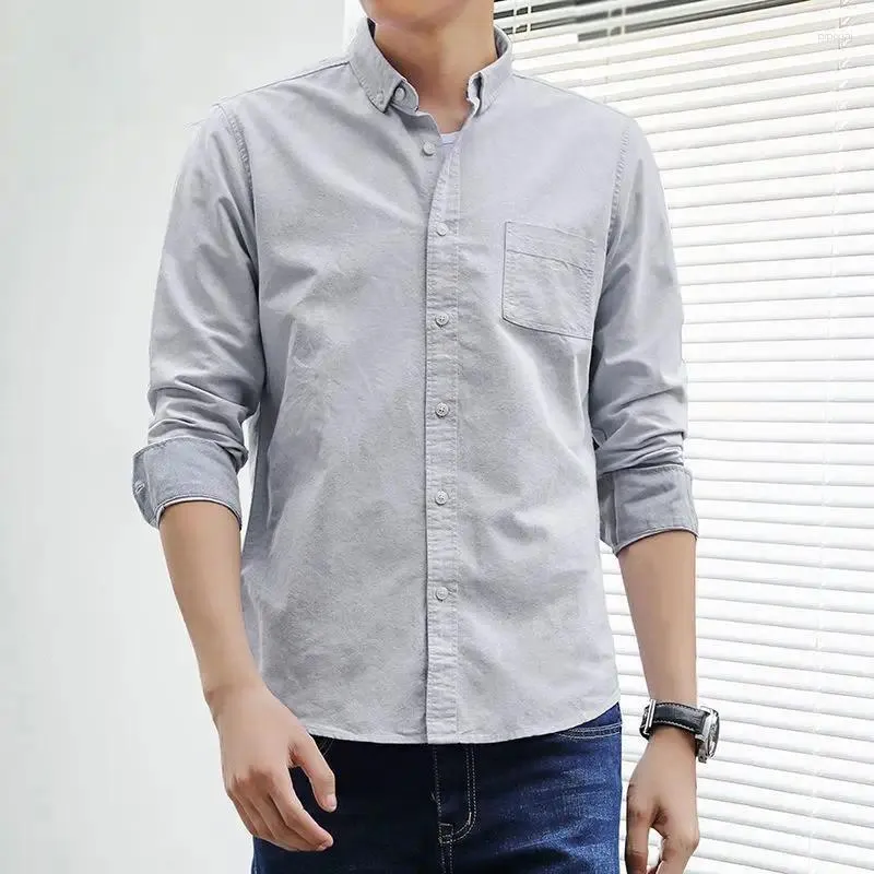Cheap office shirts new arrivals
