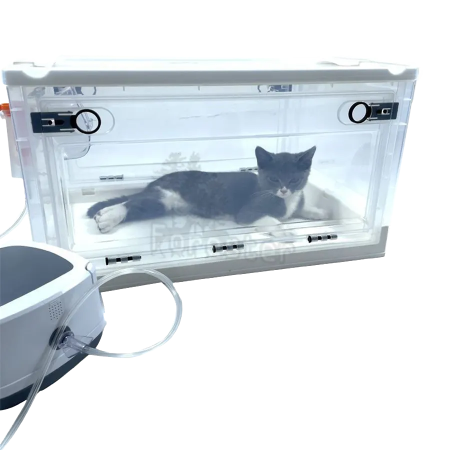 Wholesale Pet Atomization Box Oxygen Room Foldable Easy To... From ...