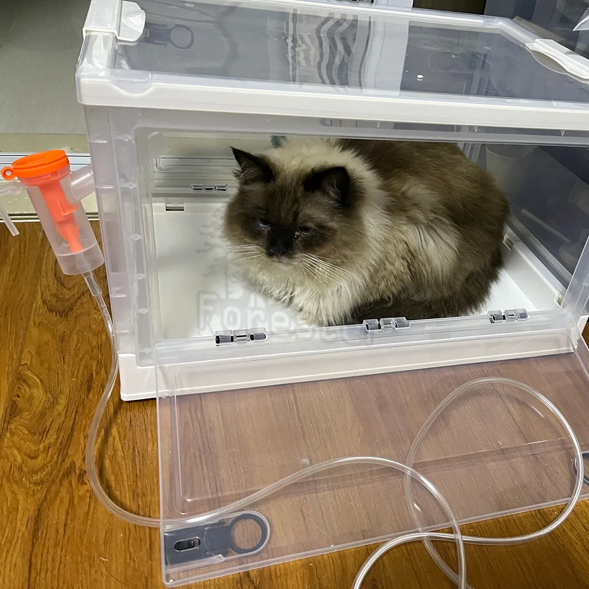 Wholesale Pet Atomization Box Oxygen Room Foldable Easy To... From ...