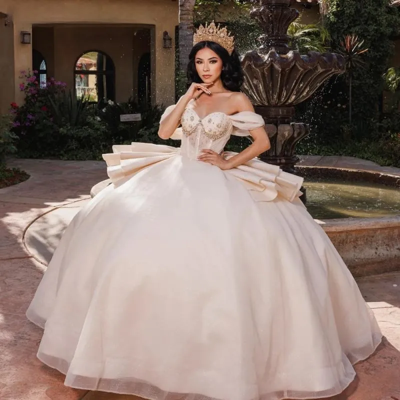 dress 15 beige Short Lace Champagne Homecoming Dress V Neck Tulle Quinceanera Dama Dresses US2 / Champagne