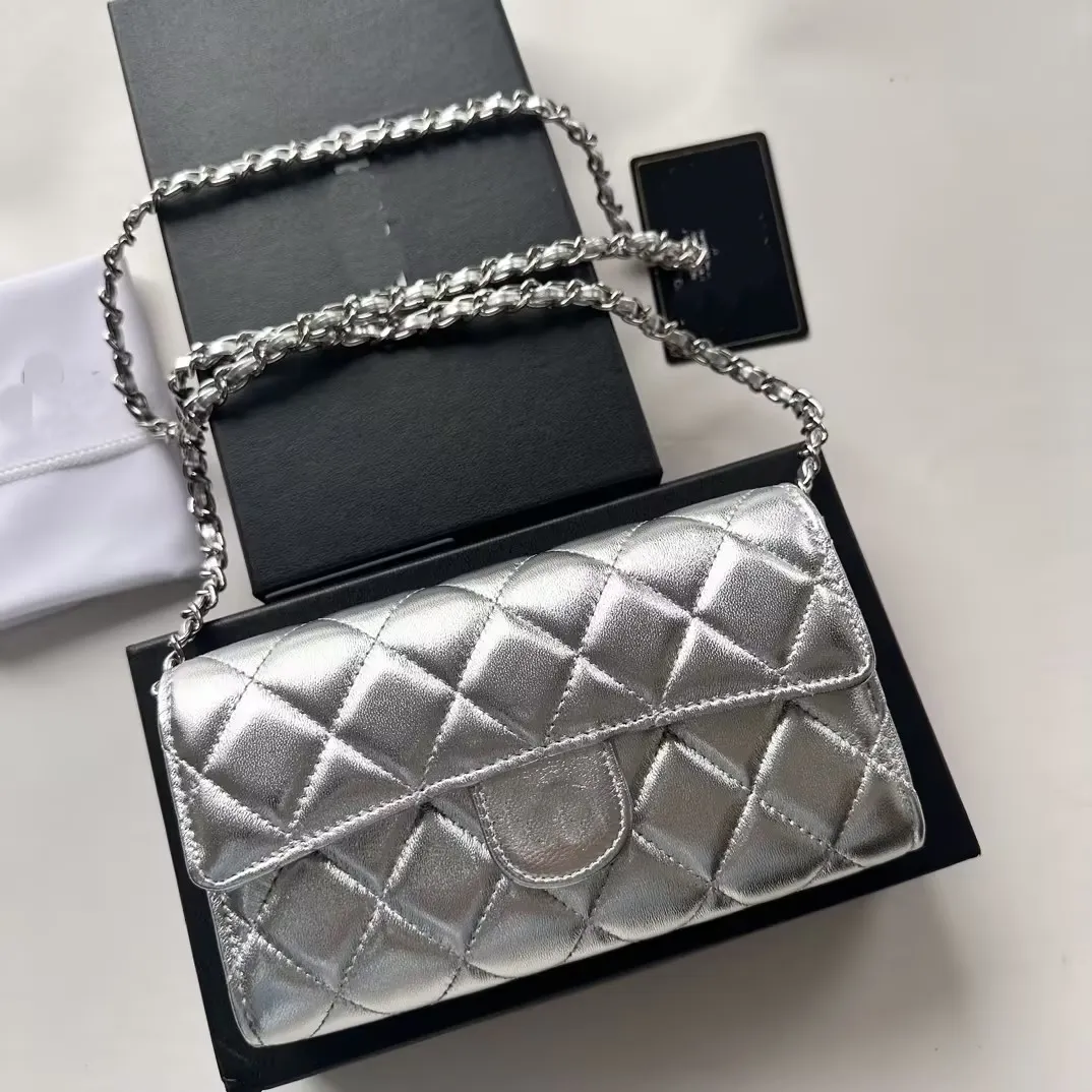 Silver Metallic Leather Shoulder Bag - CHARLES & KEITH US