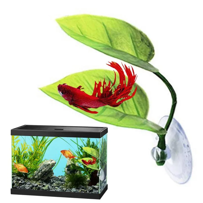 Beta Leaf Betta Fish Resting Leaf Hammock for Aquarium Decorations and Betta Tank Accessories from Dhgate Other Decorations - price 2.91 Beta Leaf Betta Fish Resting Leaf Hammock for Aquarium Decorations and Betta Tank Accessories from Dhgate Other Decorations - price 2.91