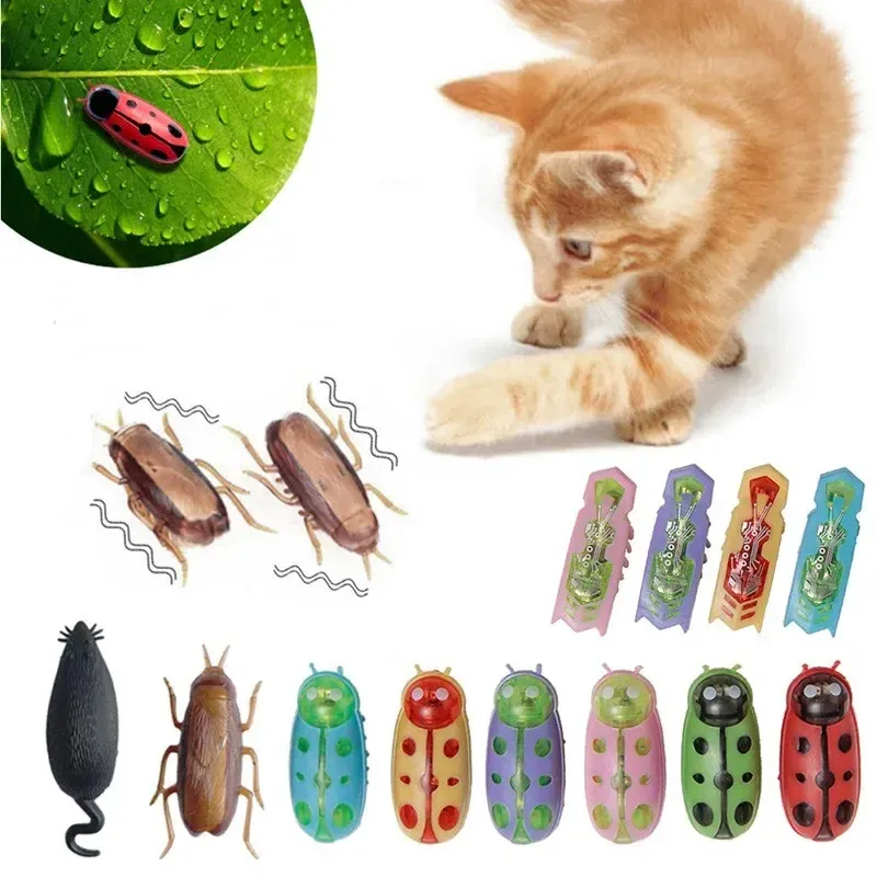 Electric Vibrating Bug Catnip Toy Plastic Mini Robot Insect Tunnel Battery  Operated for Cats from Dhgate Cat Tunnel