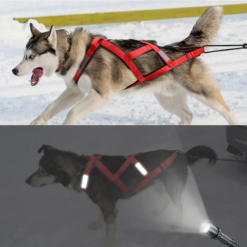 Pet Supplies Mushing Harness For Dogs Reflective Sledge Harness