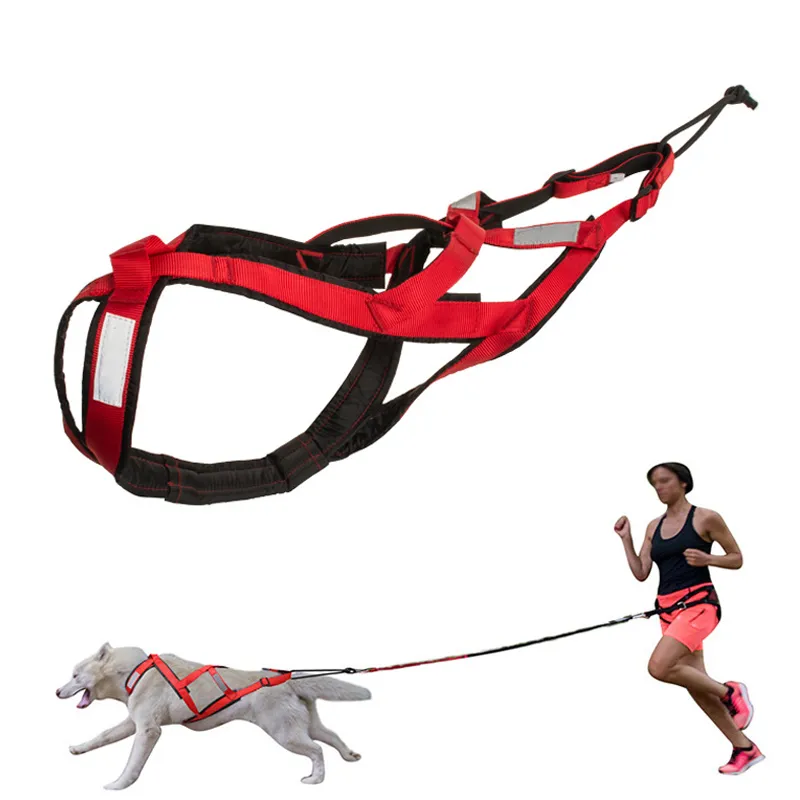 Mushing harness hotsell