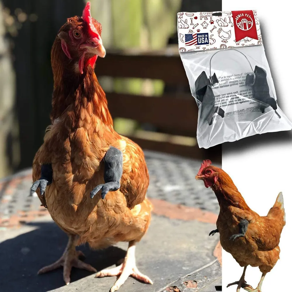 Funny Red Block Chicken Arms Costume - Muscular Arms For Chickens Ducks Geese And Parrot  Lightweight Durable A Ap B09qpjtz3j