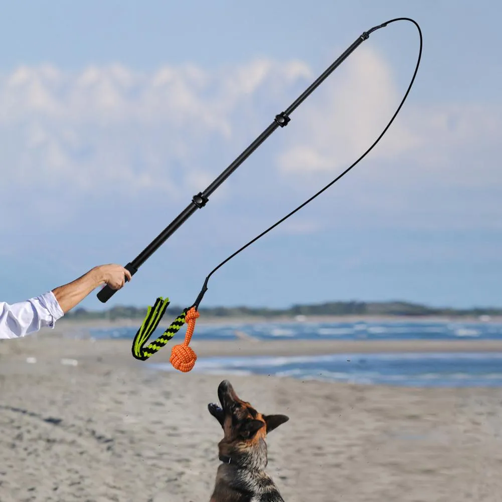 Retractable Dog Rope Toy Sturdy Pet Tether Pole For Outdoor Play Creative  Lure And Fetch Stick From Dh1100072003, $18.23 | DHgate.Com