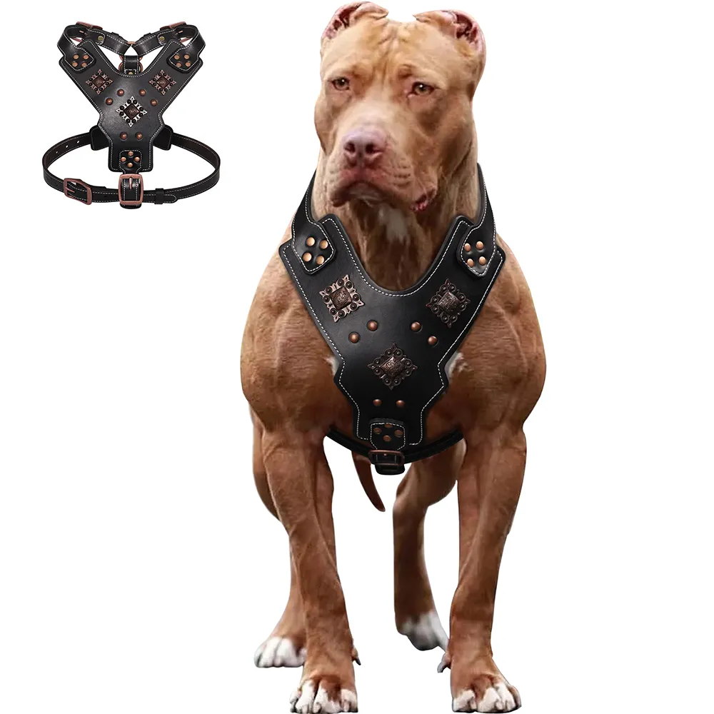 Leather harness for large dogs outlet