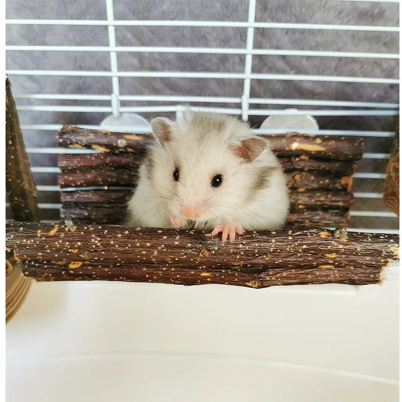 Dwarf Hamster How To Stop Your Hamster Chewing The Bars Chew Bars