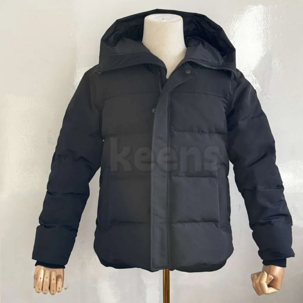 Manteau hiver goose discount