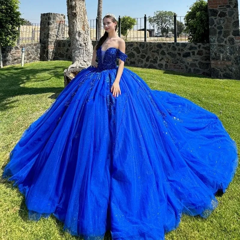 Royal Style Sweet 16 Ball Gown LK154