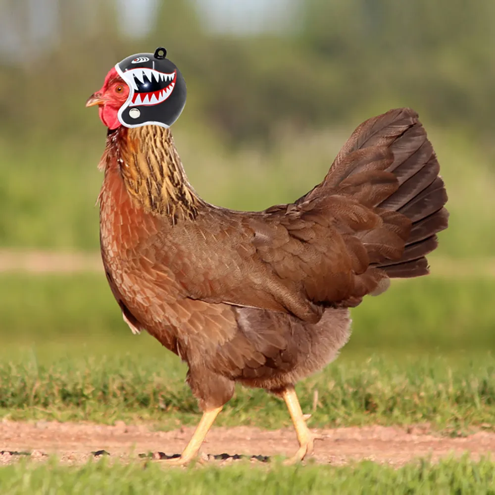 Protective Bird Helmet: Funny Chicken Accessories Rooster Hats
