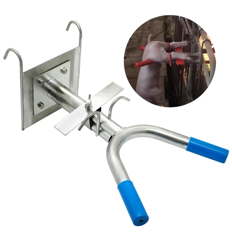 Catration Rack Stainless Steel Castration Rack For Small Quokka Animal Perfect For ...