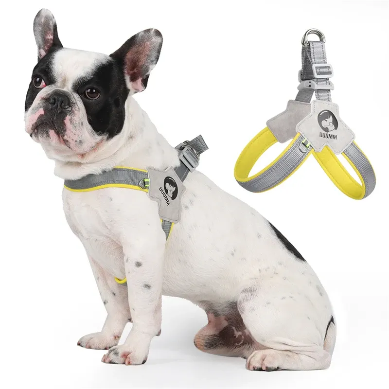 Adjustable Reflective Dog Nail Clipping Harness For Small To