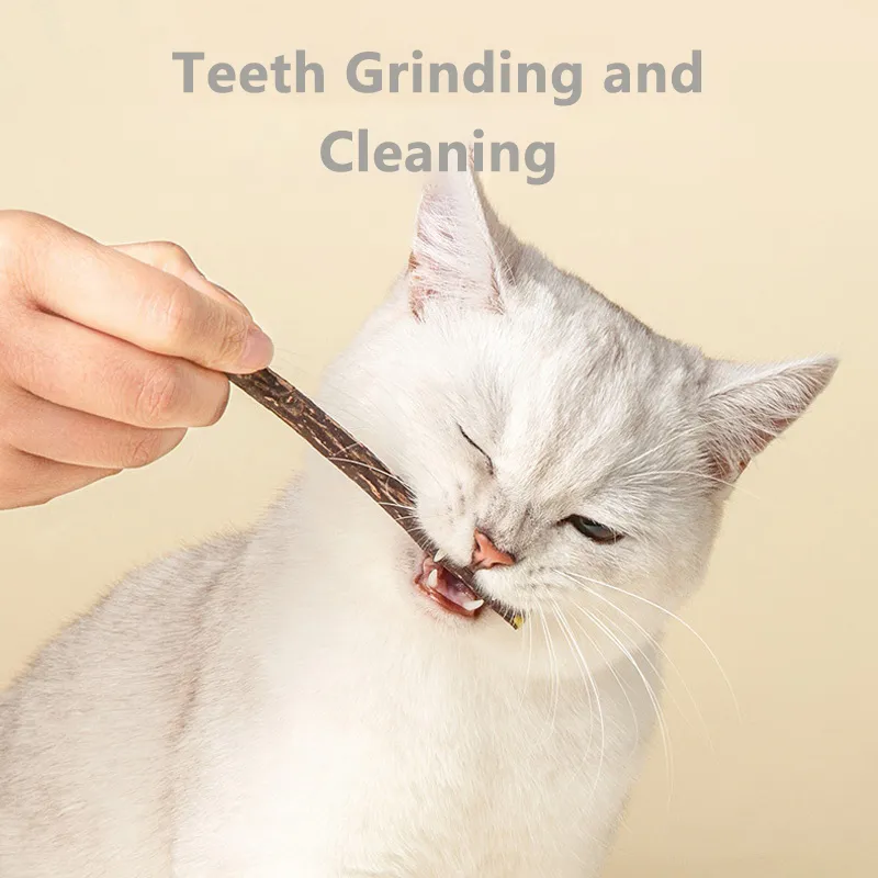 10-Piece Silvervine Sticks For Cats - Natural Chew Toys For Teeth Cleaning & Play