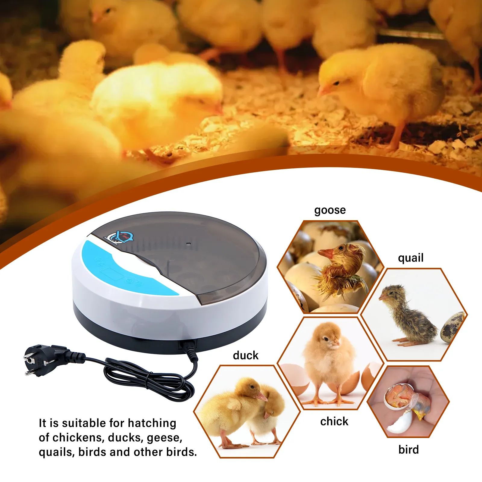 LED Temp Control Mini Eggs Incubator Brooder For Home Farm Poultry Bird ...