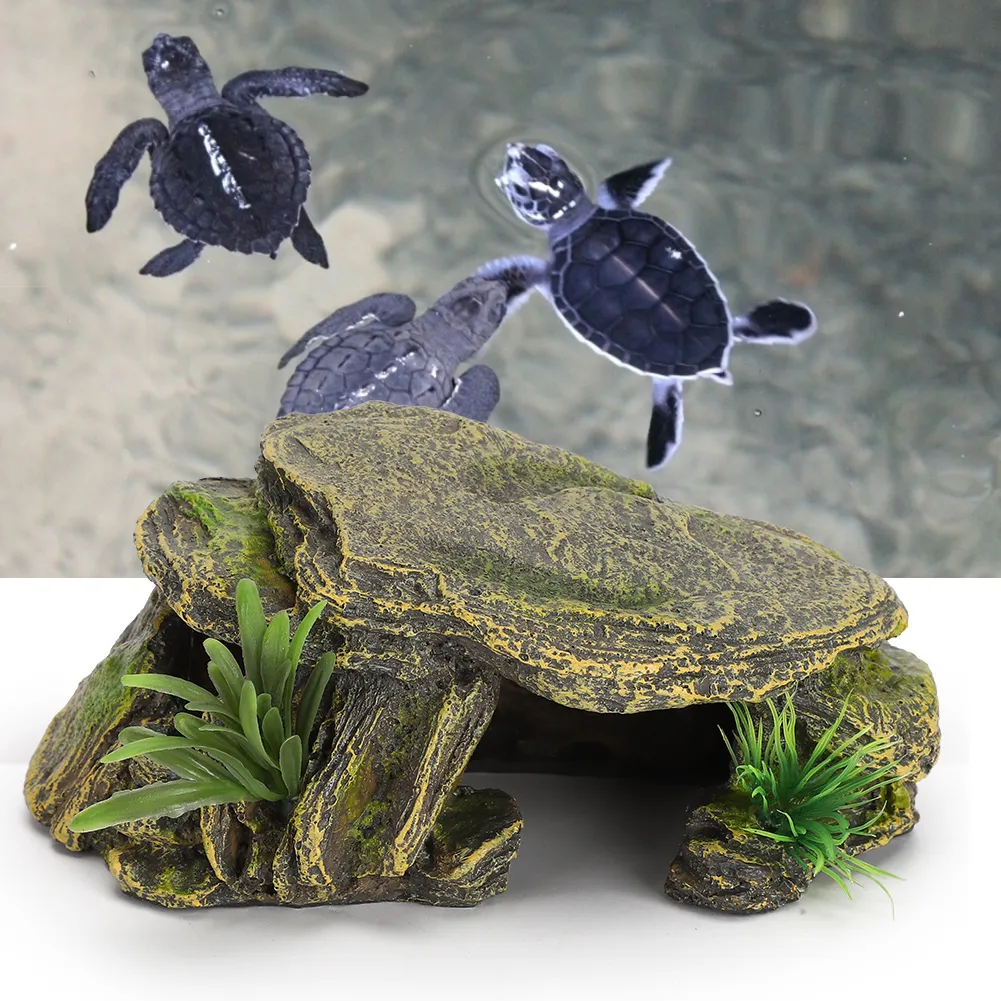 Photo inspiration: Visual Reference: Turtle Reptile Habitat Hiding Caves Aquarium Fish Tank Amphibious Vivid