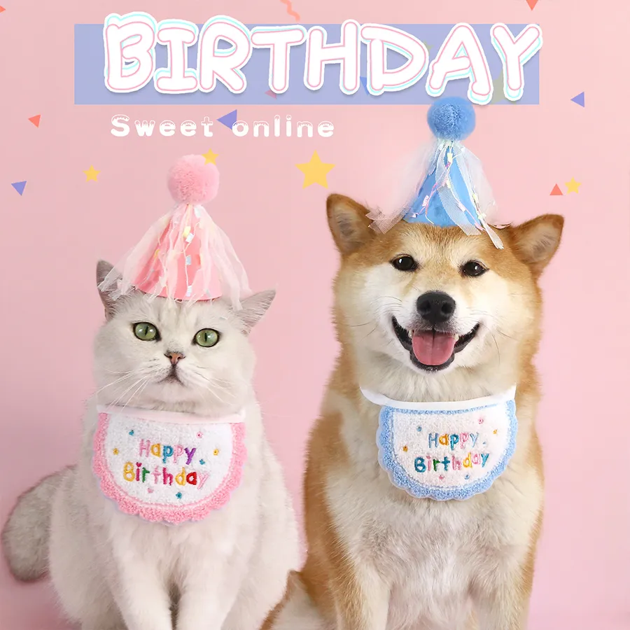 2024Pet Birthday Bibs Hat: Cat Dog Saliva Decoration Headwear Photo Prop  Accessory