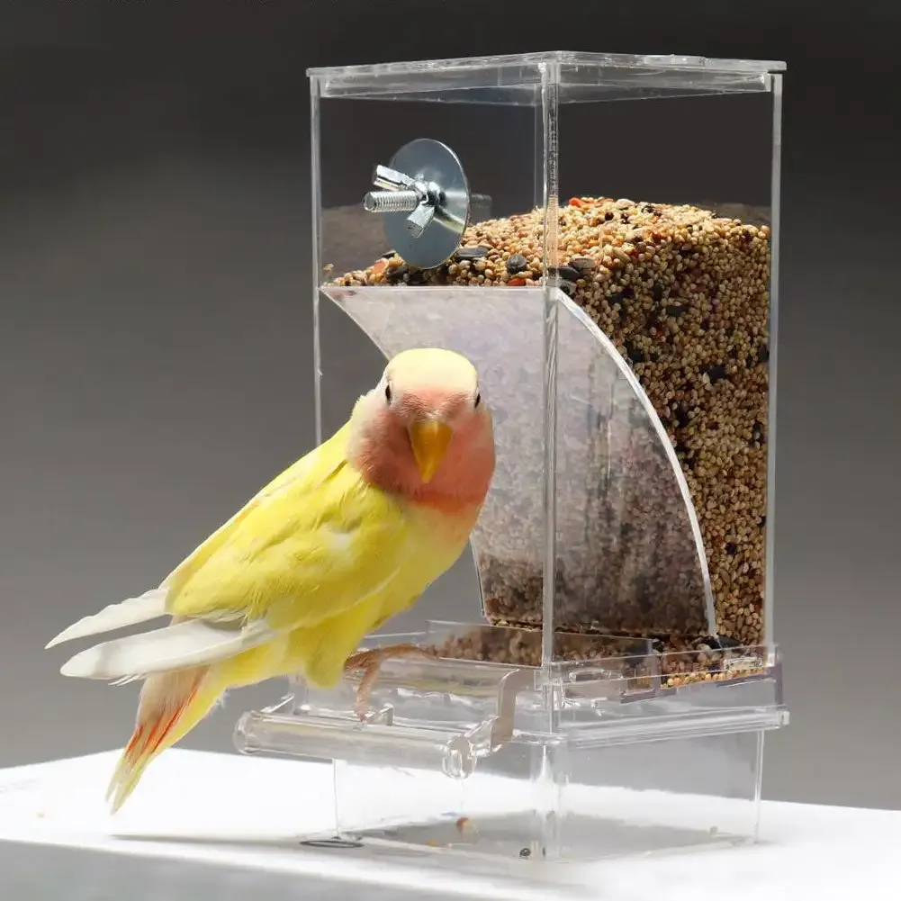 Lot De 8 Supports Mangeoire Pour Cage à Oiseaux - Blanc - Pour Fruits, Légumes, Millet - Accessoire Perruche, Perroquet