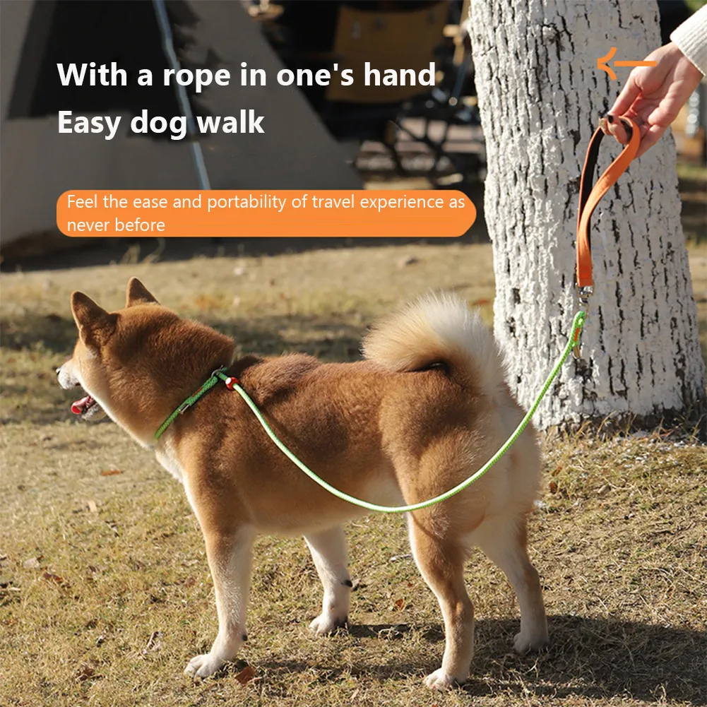 Dog Leash: No-Pull Slip Leash for Outdoor Walking and Training