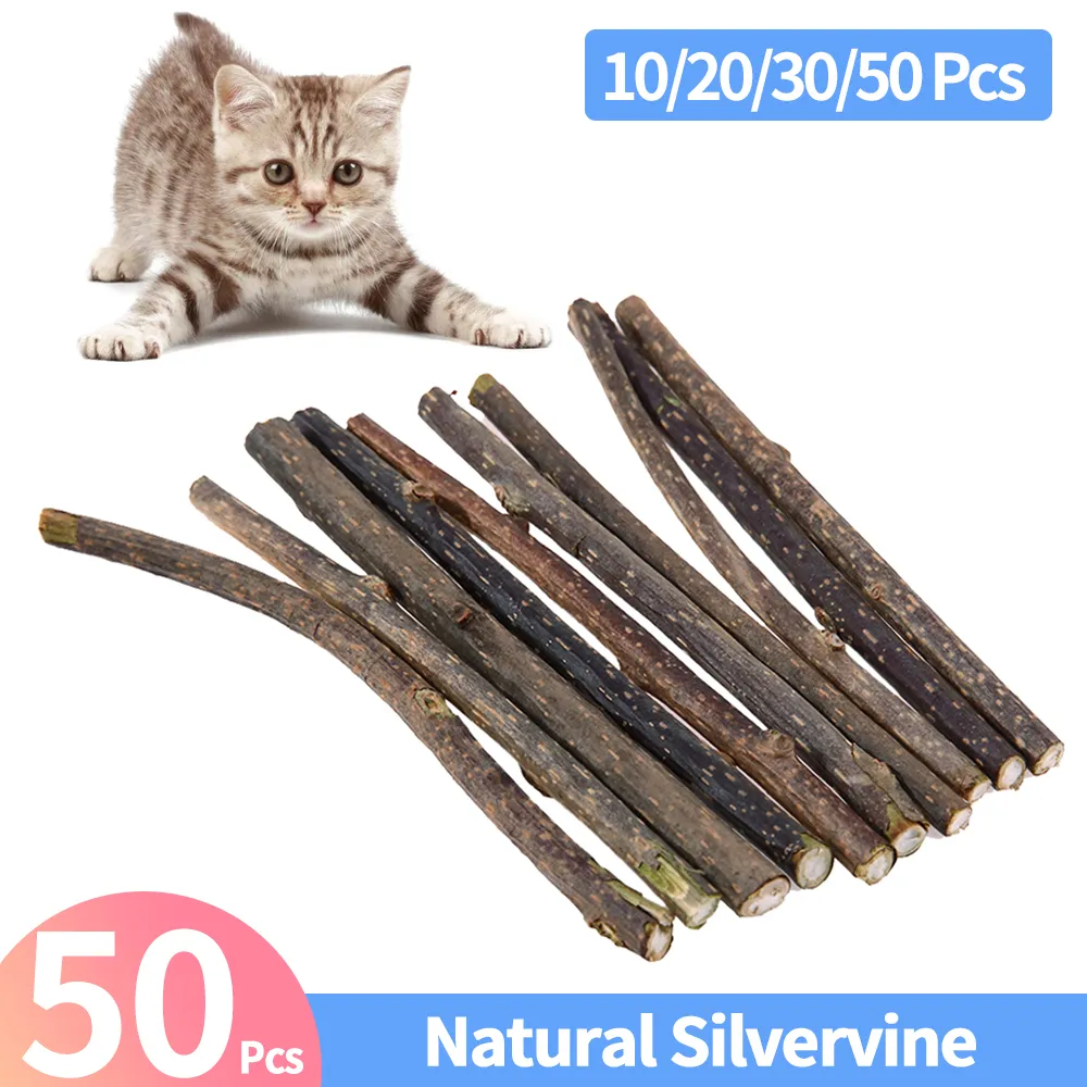 thumbnail image 2 of Lovely Caves Natural Silvervine Sticks - Premium Cat Chew Toys (5 Pack) 2 of 6