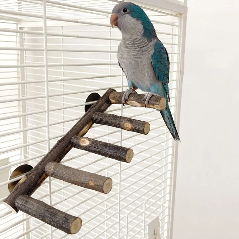 Natural Apple Wood Bird Perch Stand: Safe Chew Toy for Parrots