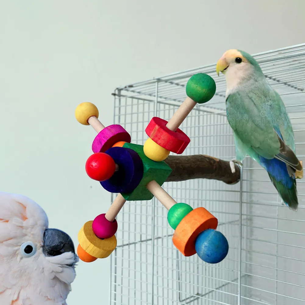 Image showcasing Premium Wooden Parrot Foraging Toy with Rotating Balls - Parakeet Cage ...