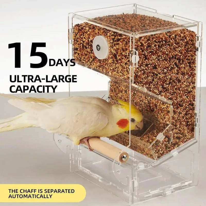 Cockatiel feeder 2025