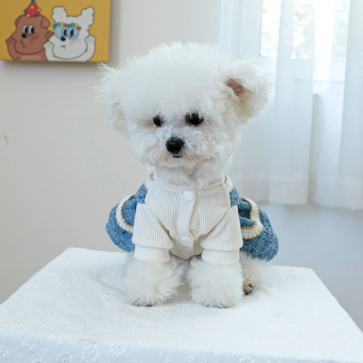 Pet Clothing Nylon Dress for Small and Medium Dogs Autumn Winter Thick Blue  Princess Style from Dhgate Dog Flea & Tick Remedies - price 13.07