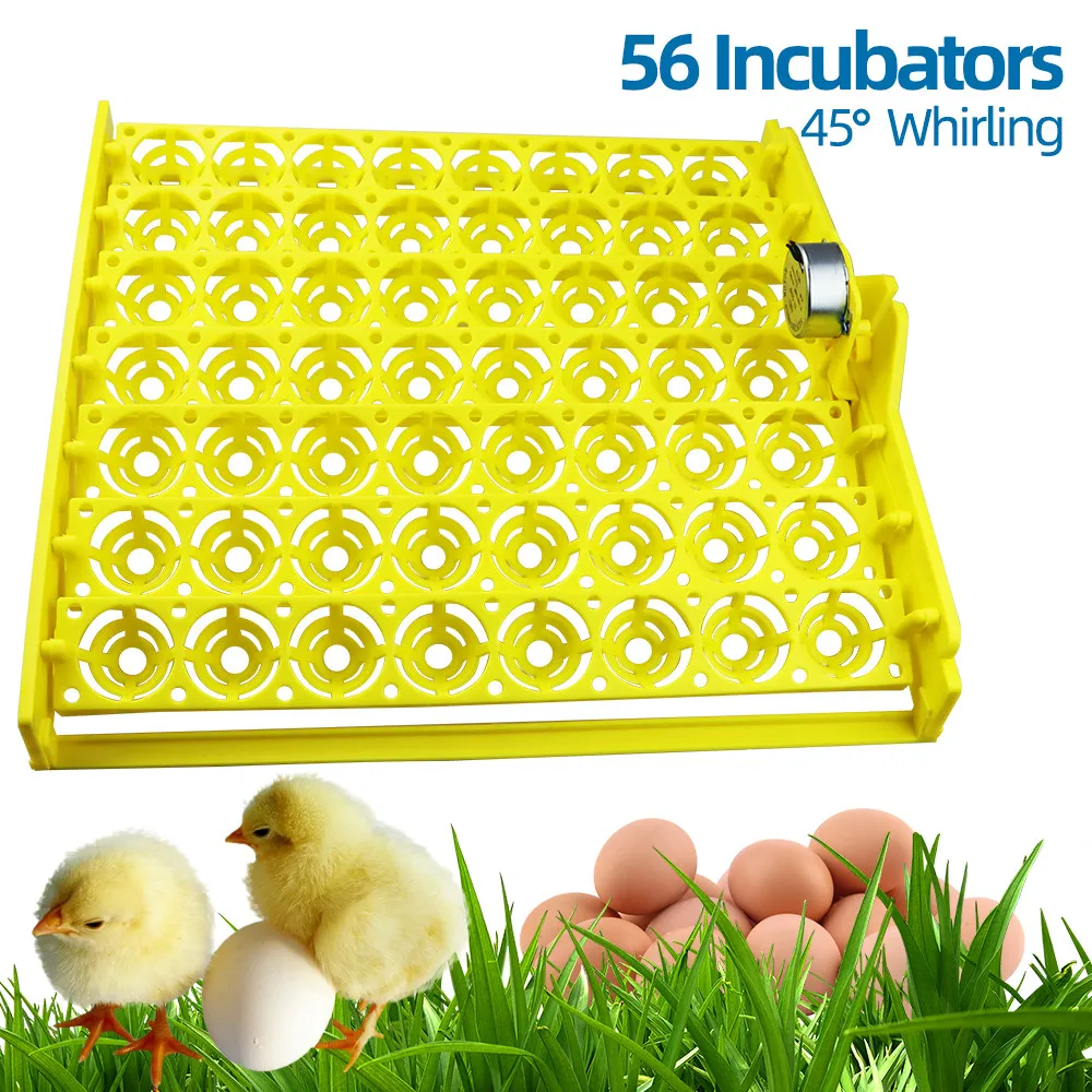 Automatische Ei Incubators, Digitale 24 Eieren Pluimvee Hatcher Tool Voor Eend Vogel Kippenei, Temperatuur Vochtigheidsregeling, Wit Automatische Ei Incubators, Digitale 24 Eieren Pluimvee Hatcher Tool Voor Eend Vogel Kippenei, Temperatuur Vochtigheidsregeling, Wit
