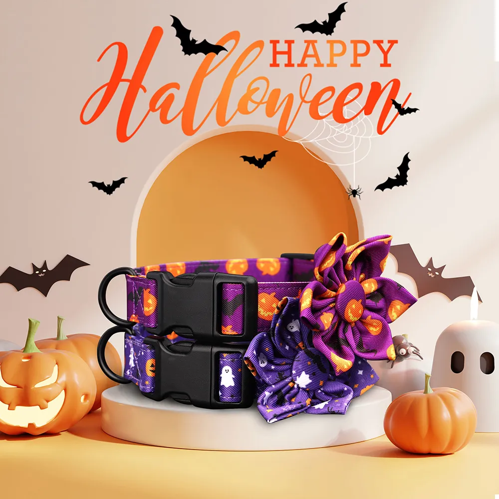Save Big on Bulk Pumpkin Dog Collar Dog Collars With Flowers, Nylon Dog  Collars: Adjustable Pumpkin Pet Collar With Floral Accent For Small To  Large