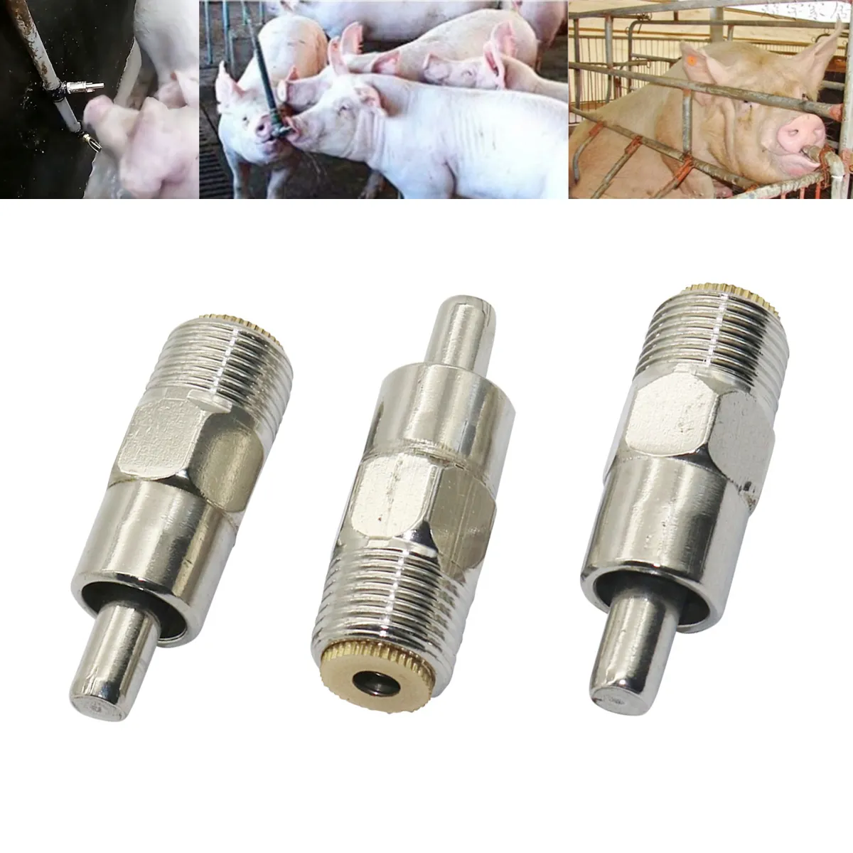 Stainless Steel Automatic Pig Water Drinker, Metal Drinker Or Feeder For Livestock Farm - View #5