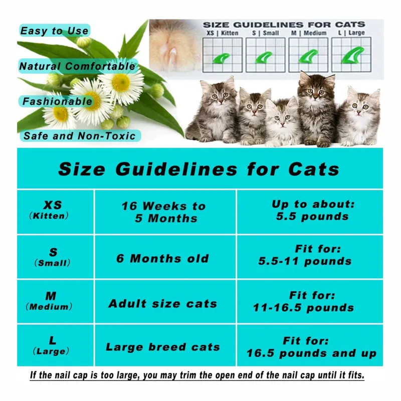 Chart Human Years To Cat Years Age Chart How Old In Human Years Is