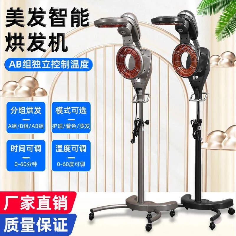 Professional Hair Salon Cold Perm & Heating Machine - Intelligent ...