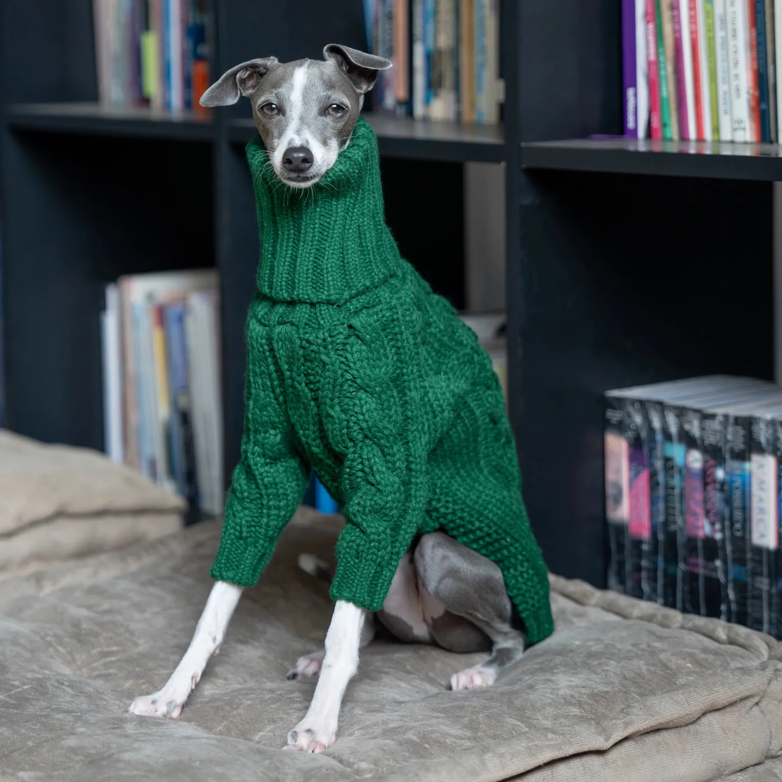 dog sweater medium Fuzzy Turtleneck Dog Sweater