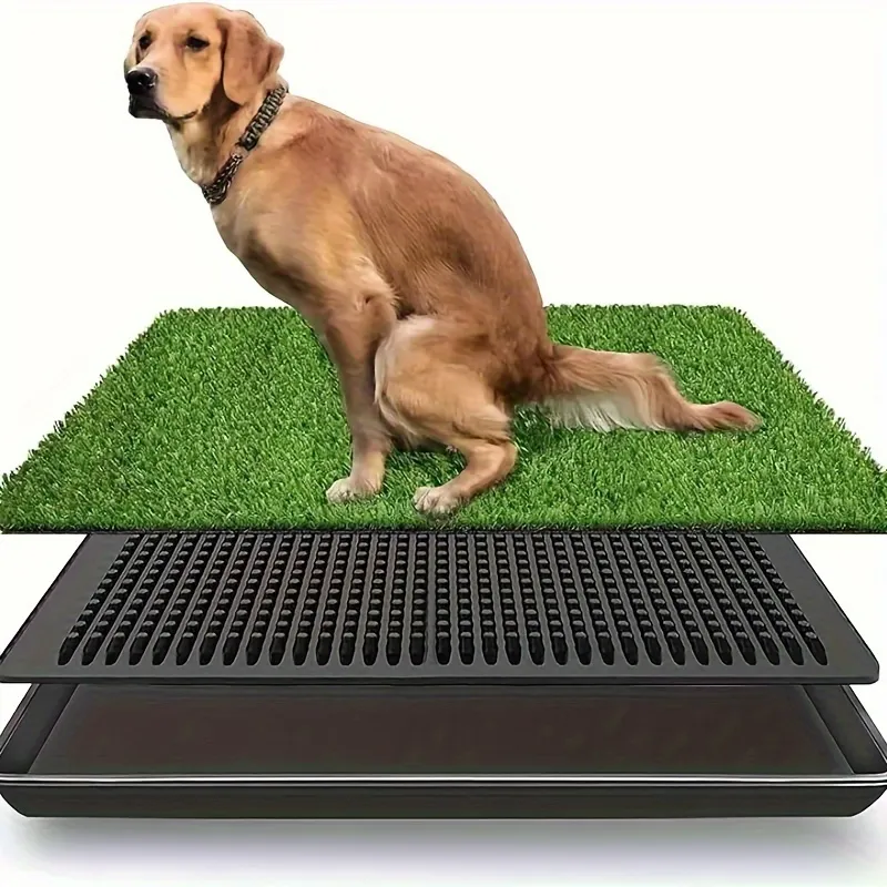 Indoor grass for dogs hot sale