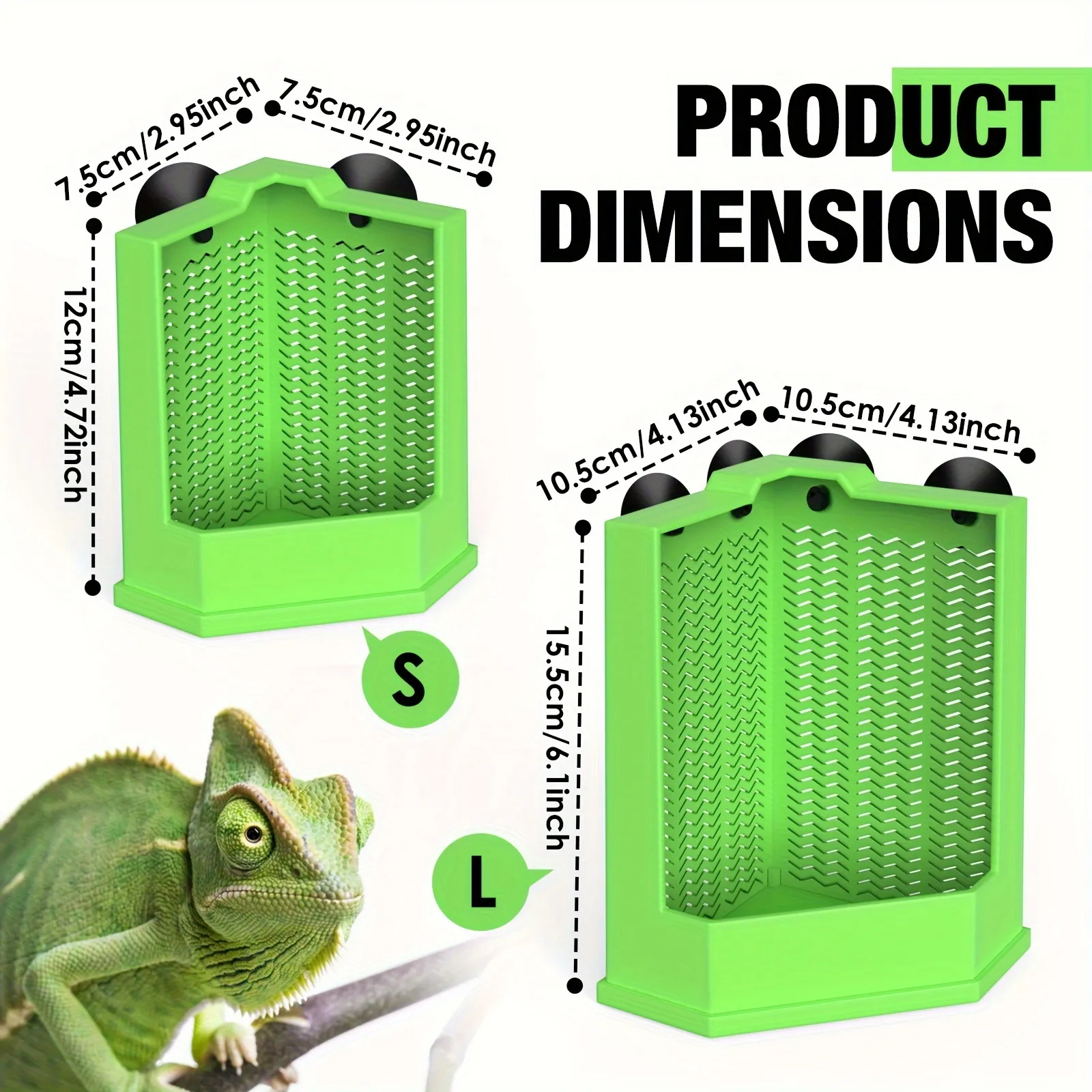 Underground Reptiles Reptile Online Store Chameleon Petco Lizard