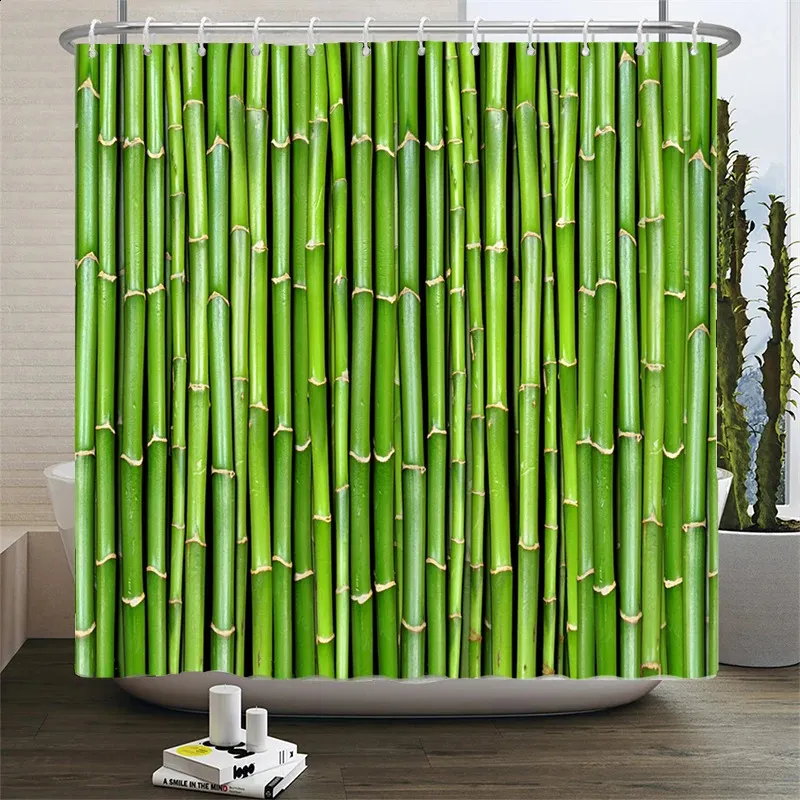cactus pachycereus pringlei Pachycereus pringlei