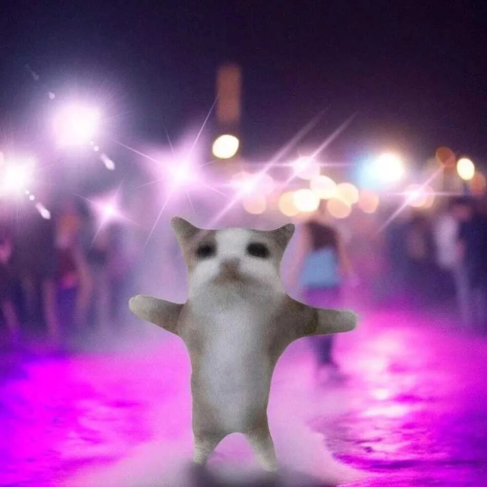 Cat Bus Rave Rave Cat Gif