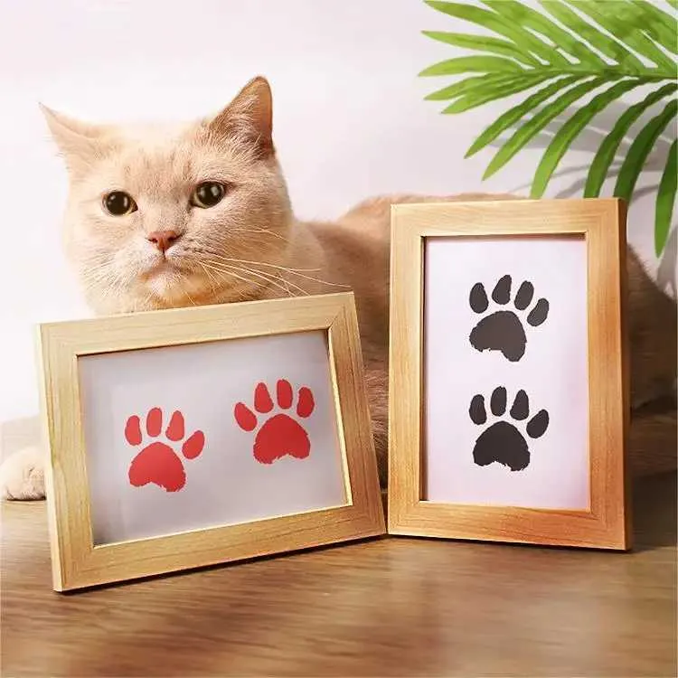 Pet Paw Print Photo Frame Kit with Clean Touch Ink Pads - Create ...