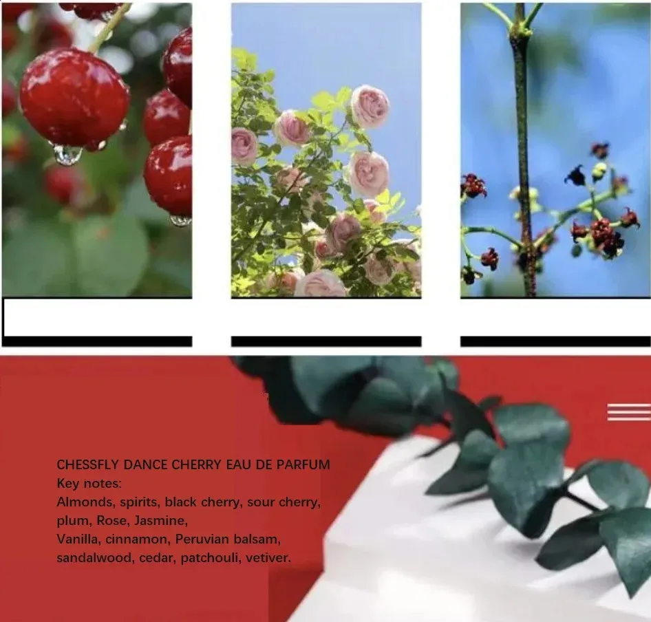 DHgate.com:Dance Cherry Eau de Parfum for Women - Long