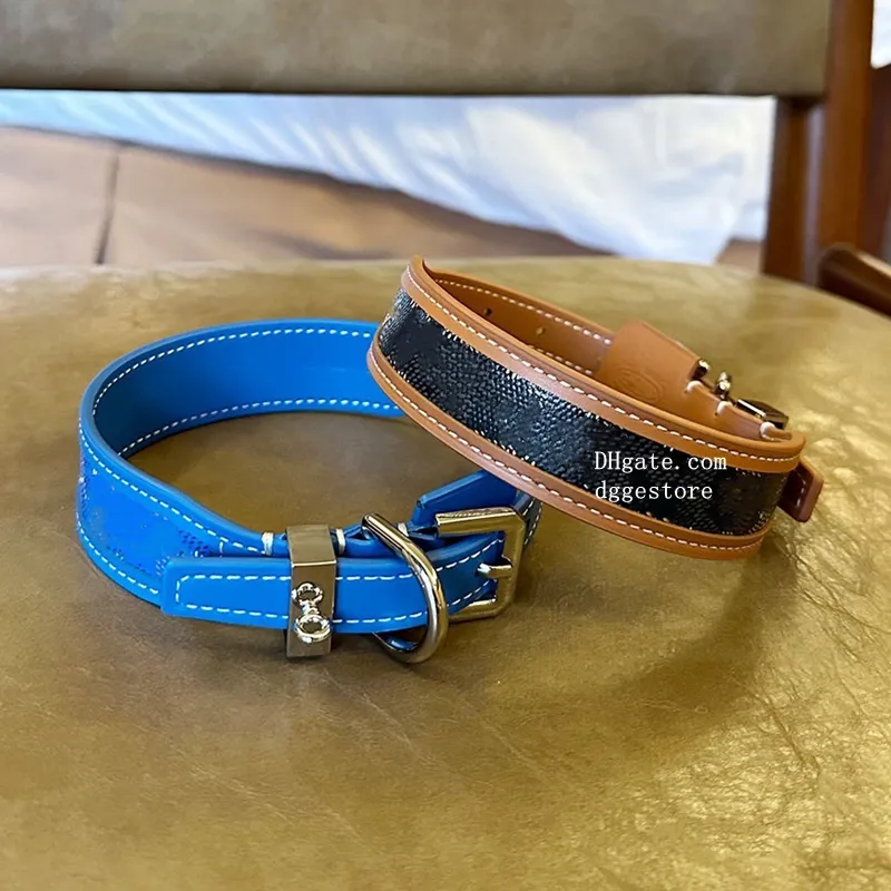 Luxury collar 2025