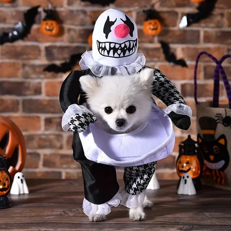 Cute Dog Halloween Costume Funny Little Dog Costumes 25 Best Dog