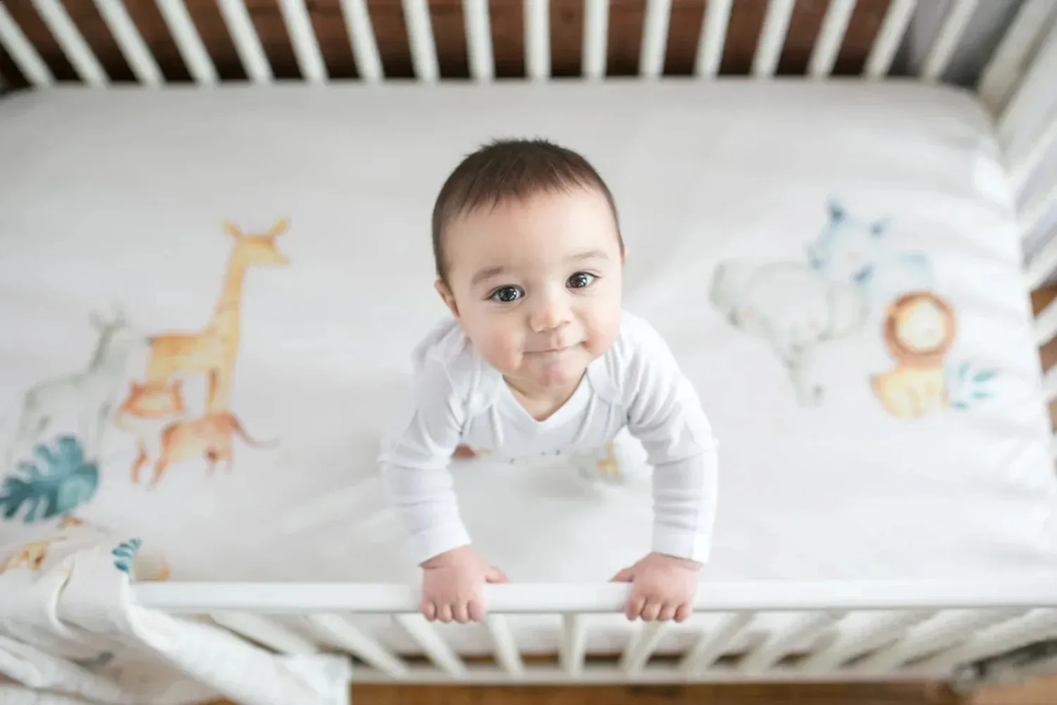Lion crib sheets hotsell