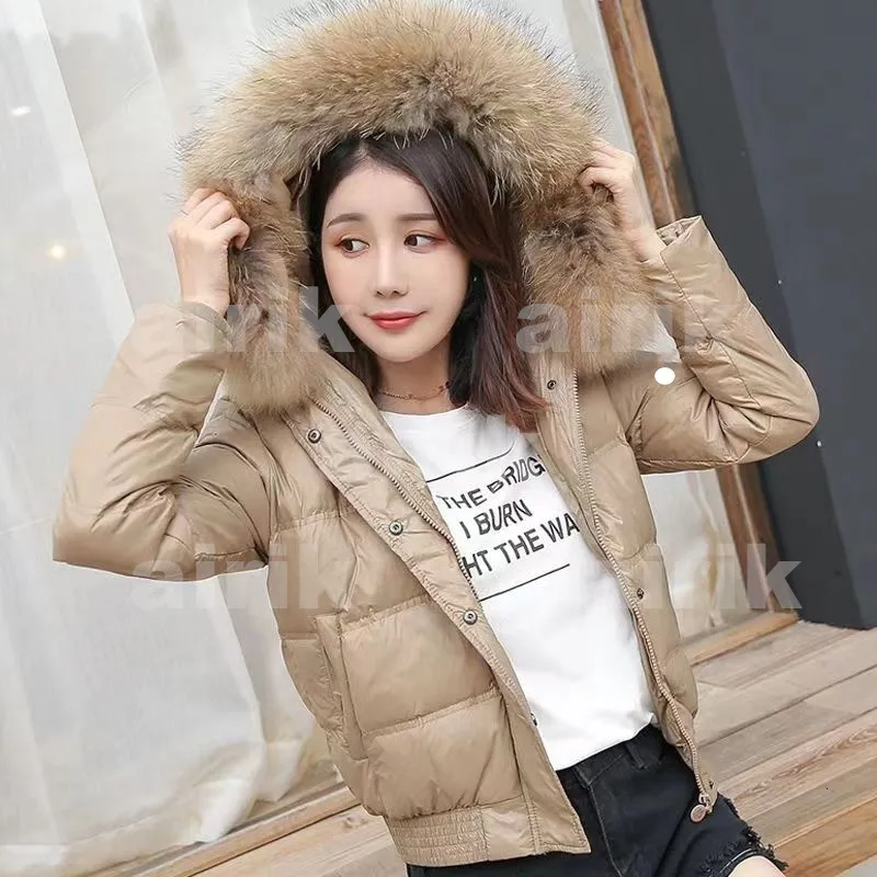 Designer ladies winter coats best sale
