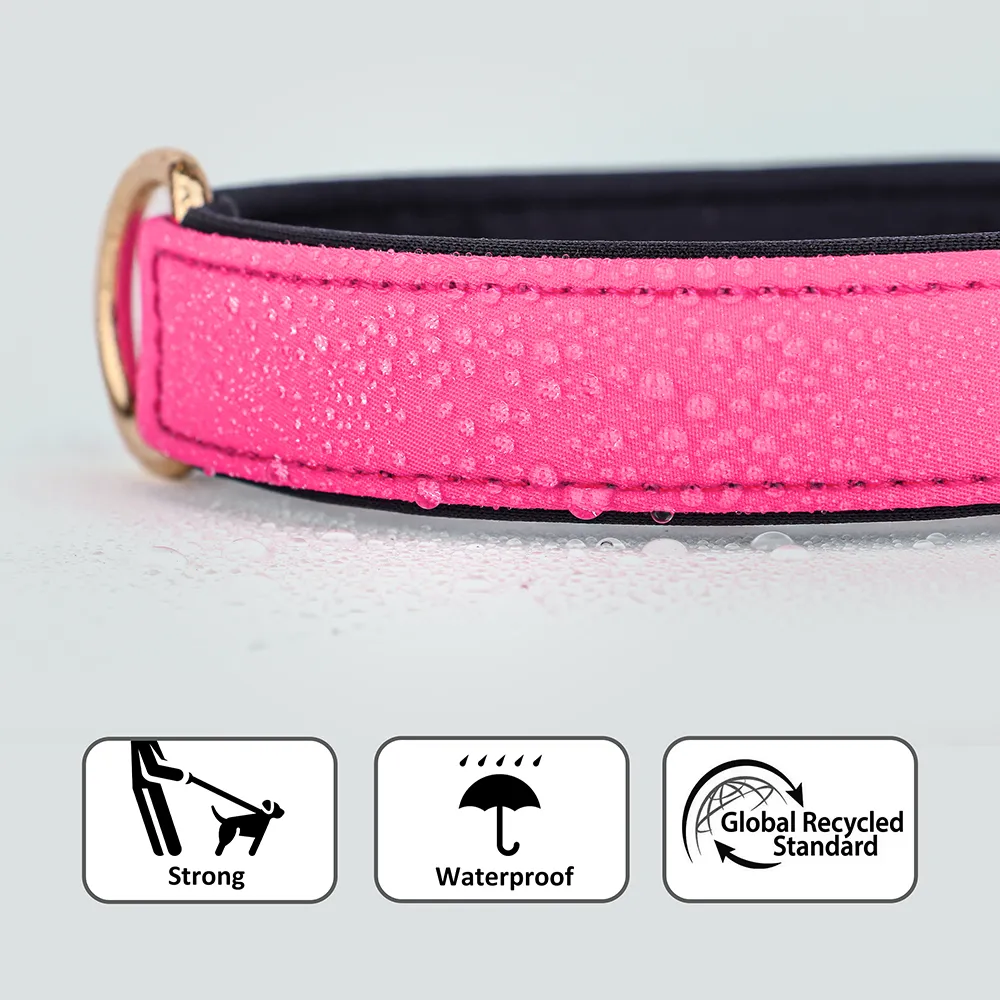 Martingale Collar For Dogs, Hidden No Pull Dog Collar With Buckle, Reflective Nylon Choke Collar Adjustable Limited Slip Collar For Large Medium Small