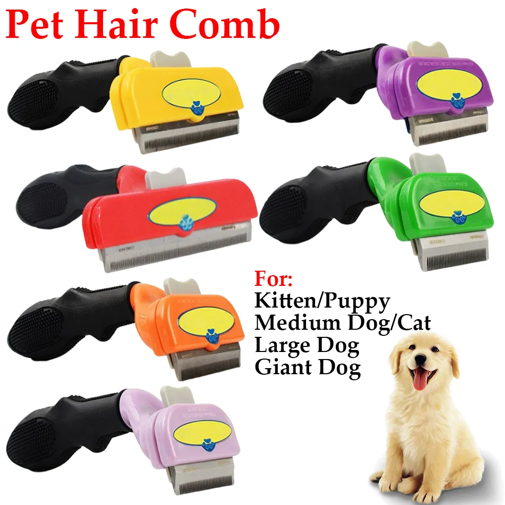 Best Deshedding Tools for Labrador Retrievers: Top Grooming Solutions